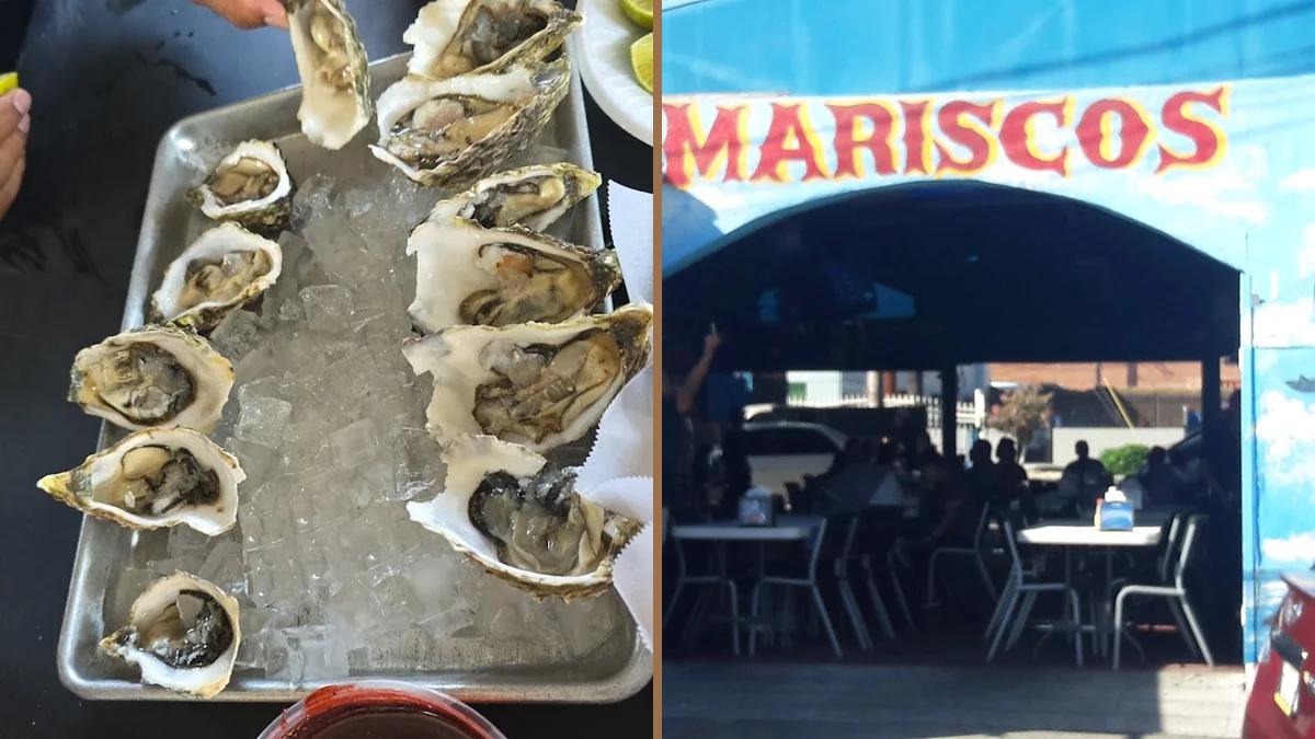 Seafood, Music, and Lunch